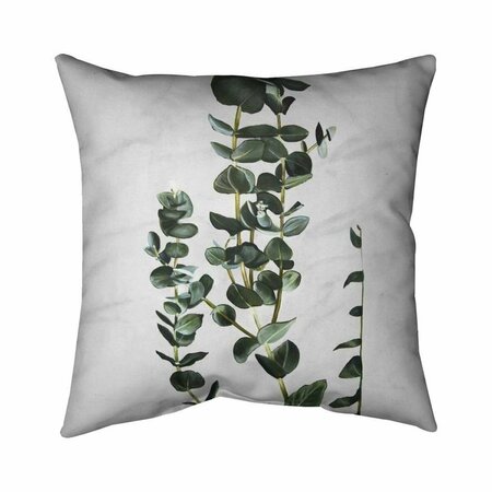 FONDO 26 x 26 in. Eucalyptus Stems-Double Sided Print Indoor Pillow FO2794075